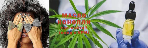 стаф Козловка