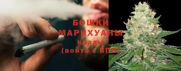 стаф Козловка
