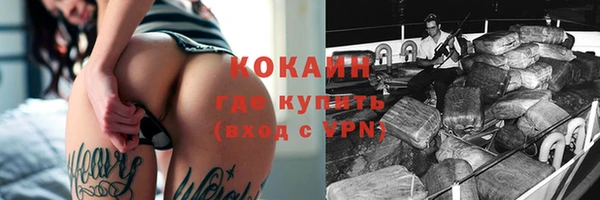 стаф Козловка