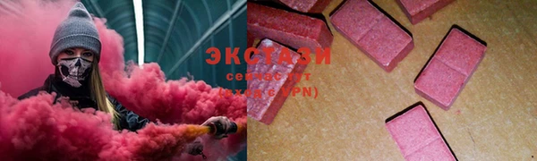 стаф Козловка