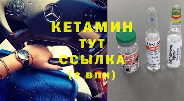 стаф Козловка