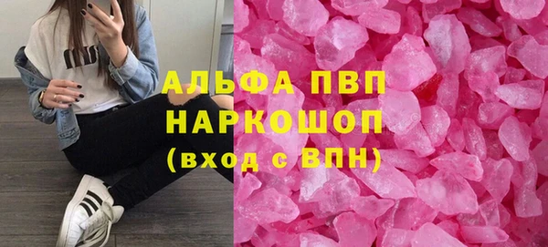 стаф Козловка