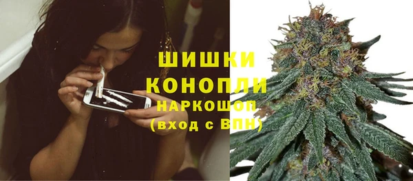 стаф Козловка
