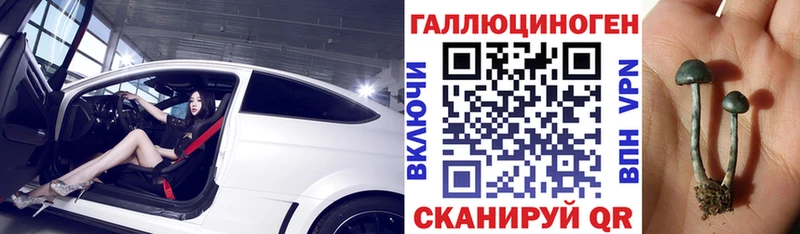 Псилоцибиновые грибы GOLDEN TEACHER Купить Рубцовск
